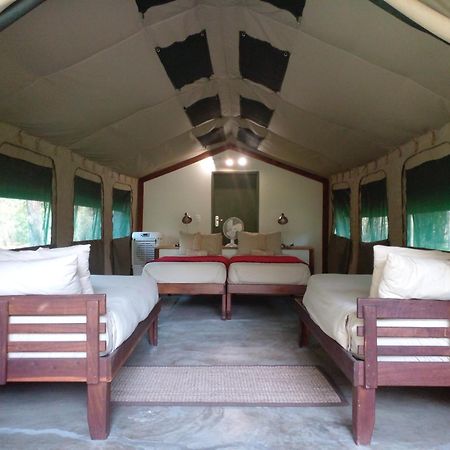 Zambezi Mubala Camp Hotel Katima Mulilo Værelse billede