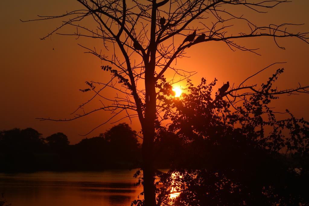 Zambezi Mubala Camp Hotel Katima Mulilo Eksteriør billede